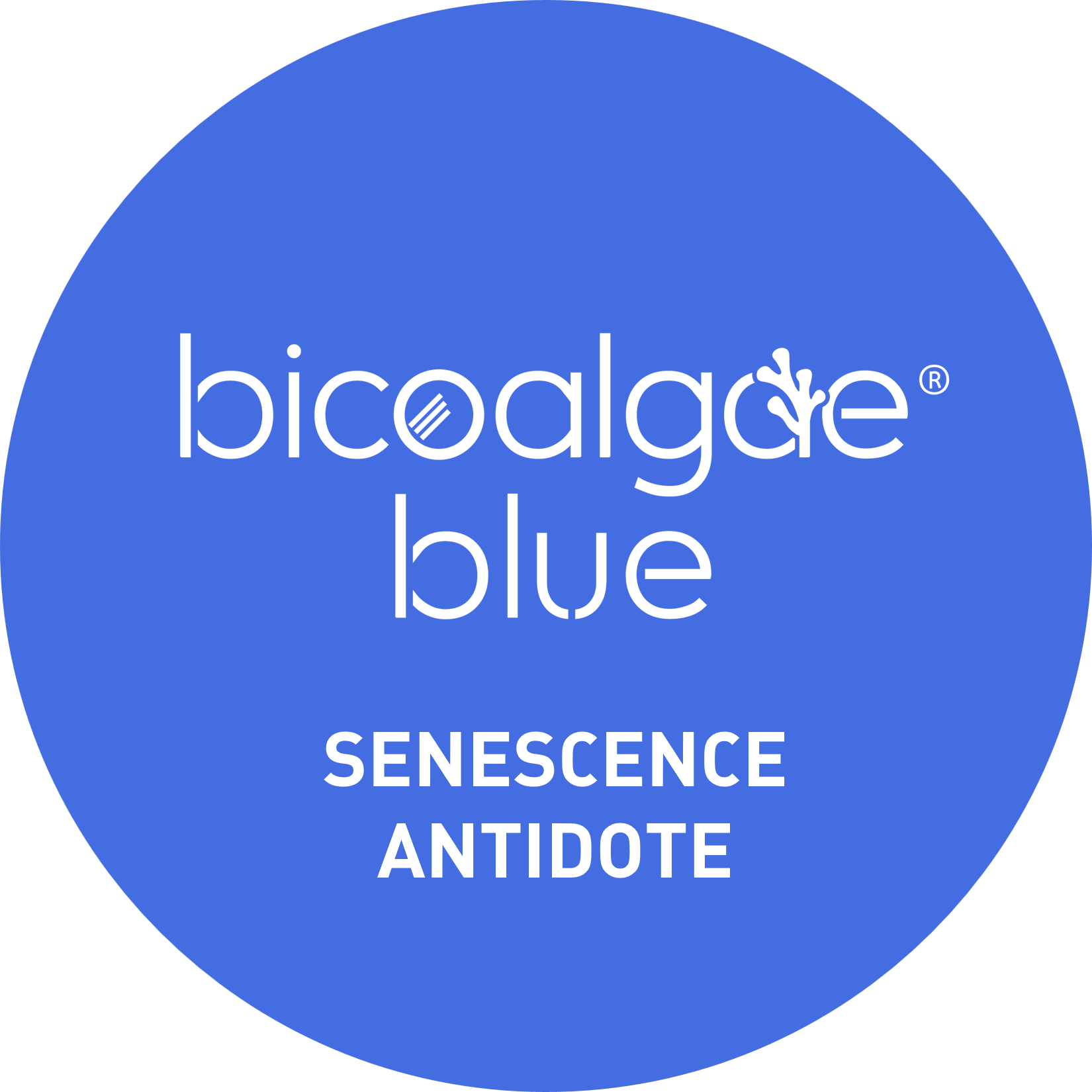 Bicoalage Blue Senescence antidote
